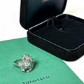 Tiffany Flower Moissanite Ring - 18K White Gold